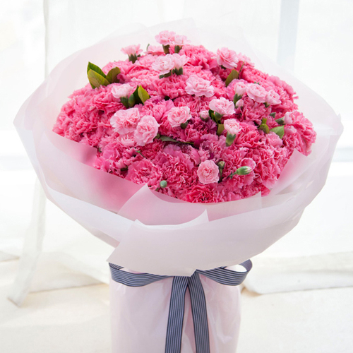 暖暖满怀99枝粉色康乃馨搭配多头康乃馨栀子叶